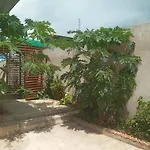 Modern Apartments Raka